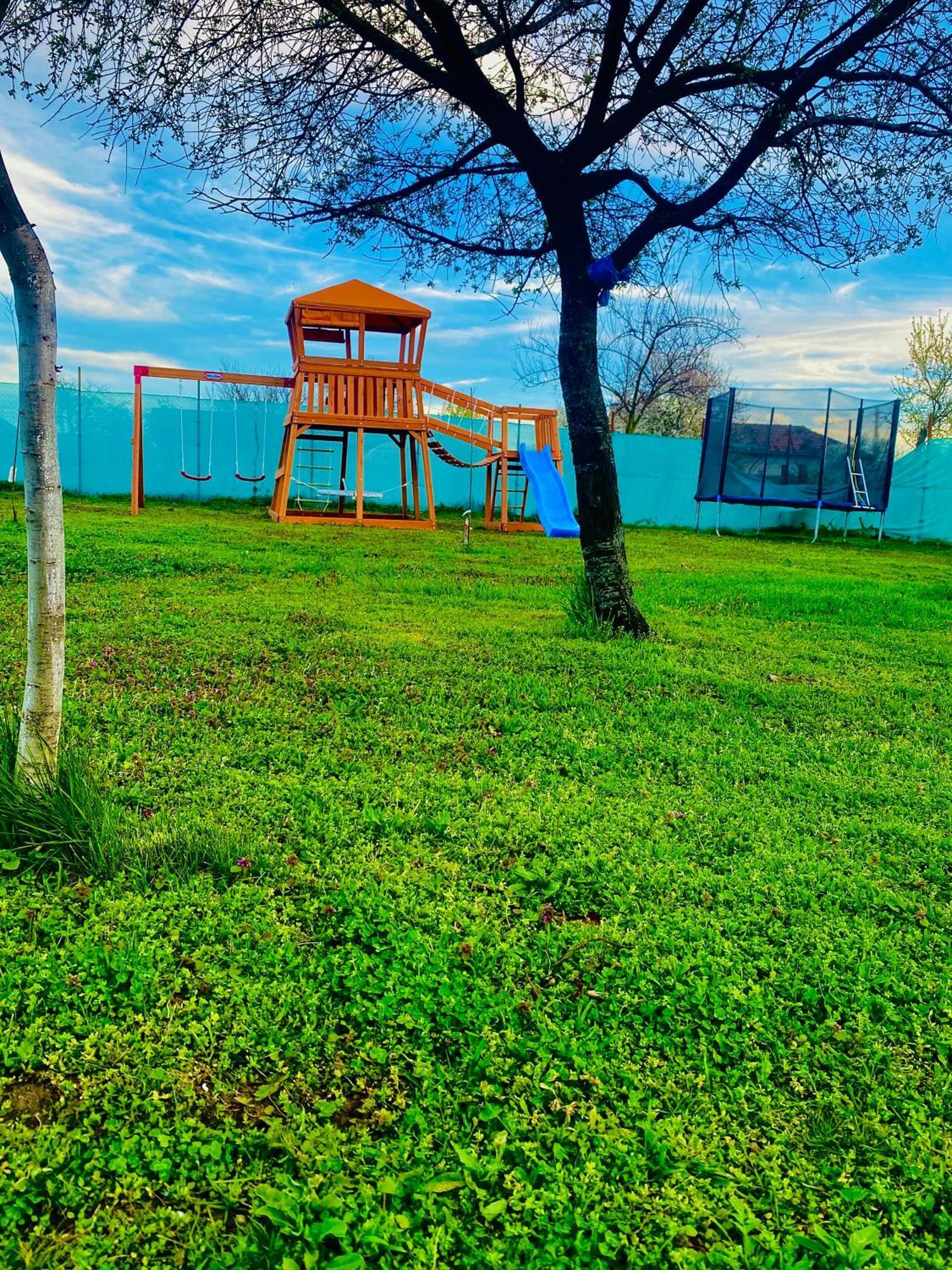 Tacchini's Holiday home Plosca